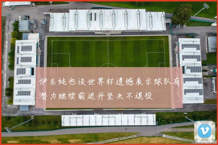伊东纯也谈世界杯遗憾表示球队有潜力继续前进并坚决不退役