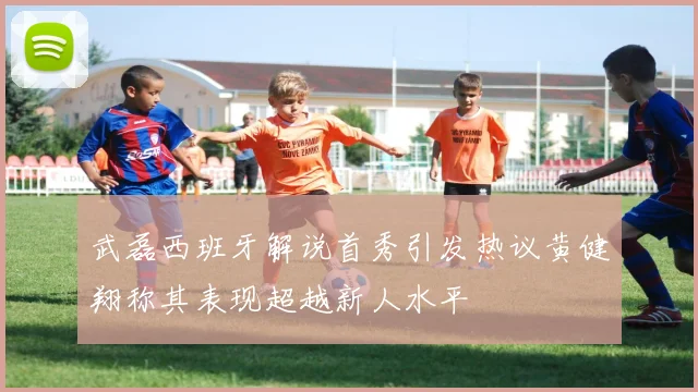 武磊西班牙解说首秀引发热议黄健翔称其表现超越新人水平