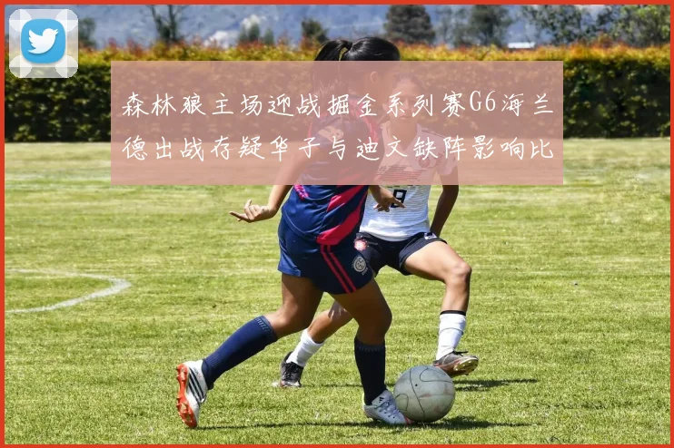 森林狼主场迎战掘金系列赛G6海兰德出战存疑华子与迪文缺阵影响比赛走势